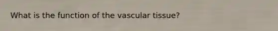 What is the function of the vascular tissue?