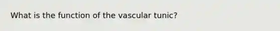 What is the function of the vascular tunic?