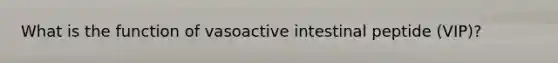 What is the function of vasoactive intestinal peptide (VIP)?