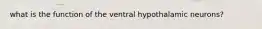 what is the function of the ventral hypothalamic neurons?