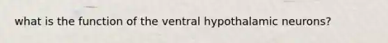 what is the function of the ventral hypothalamic neurons?