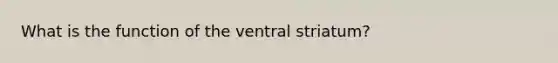 What is the function of the ventral striatum?