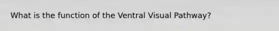 What is the function of the Ventral Visual Pathway?