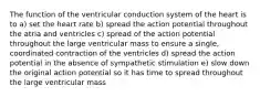 The function of the ventricular conduction system of the heart is to a) set the heart rate b) spread the action potential throughout the atria and ventricles c) spread of the action potential throughout the large ventricular mass to ensure a single, coordinated contraction of the ventricles d) spread the action potential in the absence of sympathetic stimulation e) slow down the original action potential so it has time to spread throughout the large ventricular mass