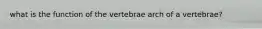 what is the function of the vertebrae arch of a vertebrae?