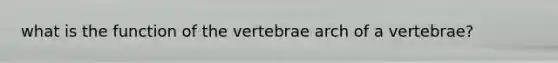 what is the function of the vertebrae arch of a vertebrae?