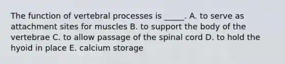 The function of vertebral processes is _____. A. to serve as attachment sites for muscles B. to support the body of the vertebrae C. to allow passage of the spinal cord D. to hold the hyoid in place E. calcium storage