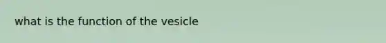 what is the function of the vesicle