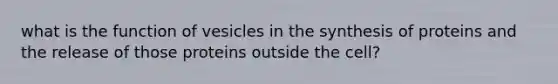 what is the function of vesicles in the synthesis of proteins and the release of those proteins outside the cell?