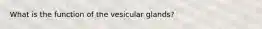 What is the function of the vesicular glands?