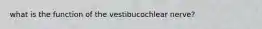 what is the function of the vestibucochlear nerve?
