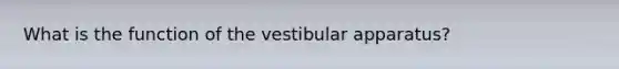 What is the function of the vestibular apparatus?