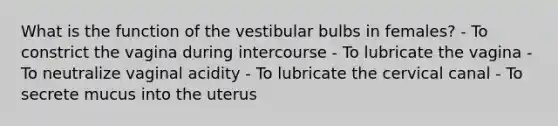 What is the function of the vestibular bulbs in females? - To constrict the vagina during intercourse - To lubricate the vagina - To neutralize vaginal acidity - To lubricate the cervical canal - To secrete mucus into the uterus