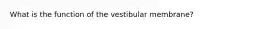 What is the function of the vestibular membrane?