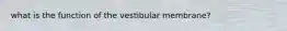 what is the function of the vestibular membrane?