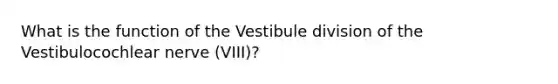 What is the function of the Vestibule division of the Vestibulocochlear nerve (VIII)?