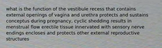 what is the function of the vestibule recess that contains external openings of vagina and urethra protects and sustains conceptus during pregnancy, cyclic shedding results in menstrual flow erectile tissue innervated with sensory nerve endings encloses and protects other external reproductive structures