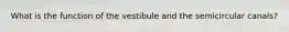 What is the function of the vestibule and the semicircular canals?