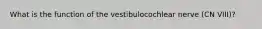 What is the function of the vestibulocochlear nerve (CN VIII)?