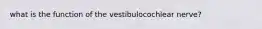 what is the function of the vestibulocochlear nerve?