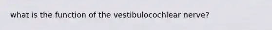 what is the function of the vestibulocochlear nerve?