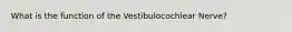 What is the function of the Vestibulocochlear Nerve?