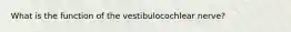 What is the function of the vestibulocochlear nerve?