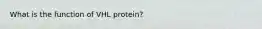 What is the function of VHL protein?