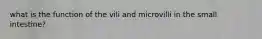 what is the function of the vili and microvilli in the small intestine?