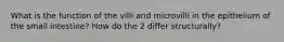 What is the function of the villi and microvilli in the epithelium of the small intestine? How do the 2 differ structurally?