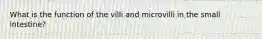 What is the function of the villi and microvilli in the small intestine?