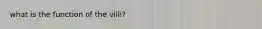 what is the function of the villi?