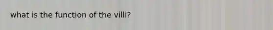 what is the function of the villi?