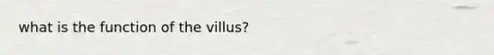 what is the function of the villus?