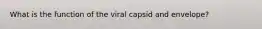 What is the function of the viral capsid and envelope?