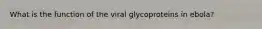 What is the function of the viral glycoproteins in ebola?