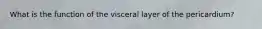 What is the function of the visceral layer of the pericardium?