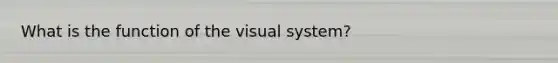 What is the function of the visual system?