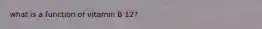 what is a function of vitamin B 12?