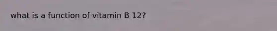 what is a function of vitamin B 12?