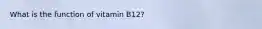 What is the function of vitamin B12?
