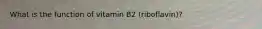 What is the function of vitamin B2 (riboflavin)?