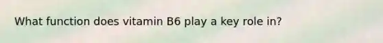 What function does vitamin B6 play a key role in?