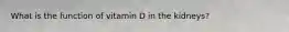 What is the function of vitamin D in the kidneys?