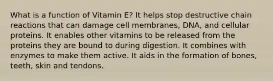 What is a function of Vitamin E? It helps stop destructive chain reactions that can damage cell membranes, DNA, and cellular proteins. It enables other vitamins to be released from the proteins they are bound to during digestion. It combines with enzymes to make them active. It aids in the formation of bones, teeth, skin and tendons.