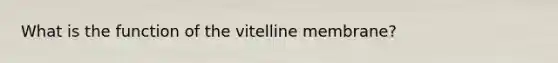 What is the function of the vitelline membrane?