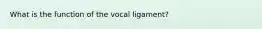 What is the function of the vocal ligament?