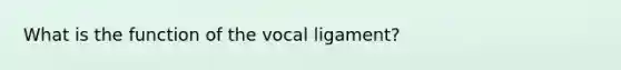 What is the function of the vocal ligament?