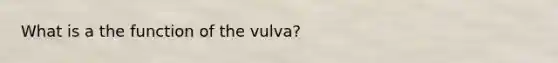 What is a the function of the vulva?