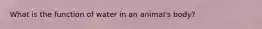 What is the function of water in an animal's body?